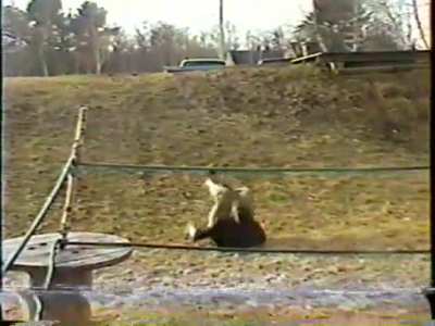 The Greatest Backyard Wrestling Entrance of All Time