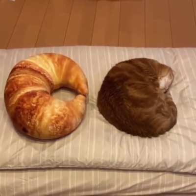 Find 5 differences??