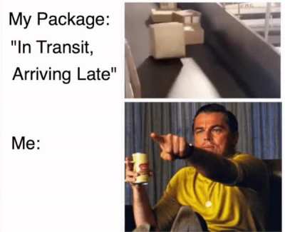 Package "In Transit, Arriving Late" and seeing this video