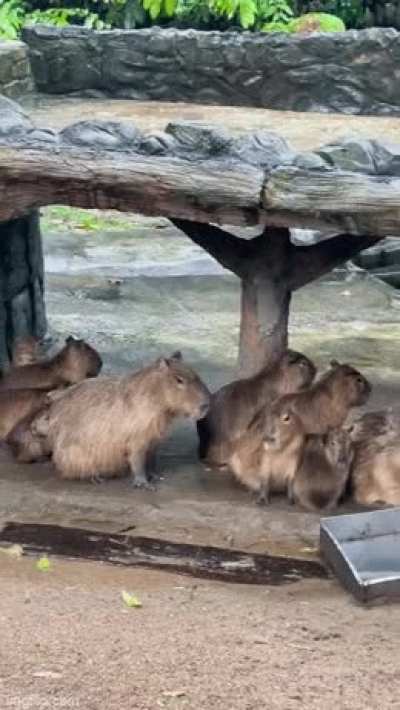 One of these things is not like the others