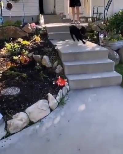 Walking on sunshine