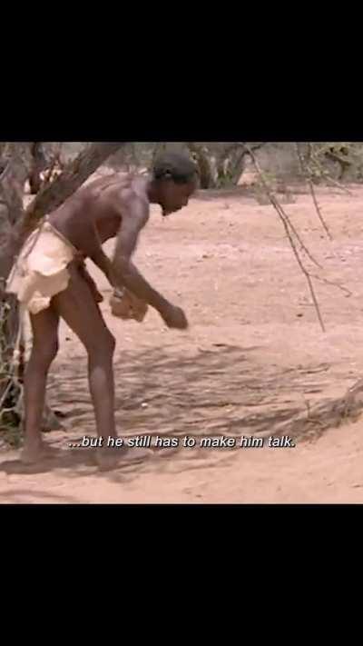 Locating water sources using baboons