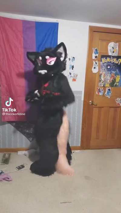 why-