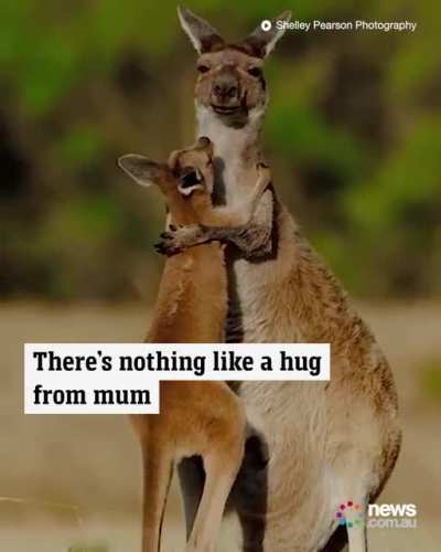 moms hug ?