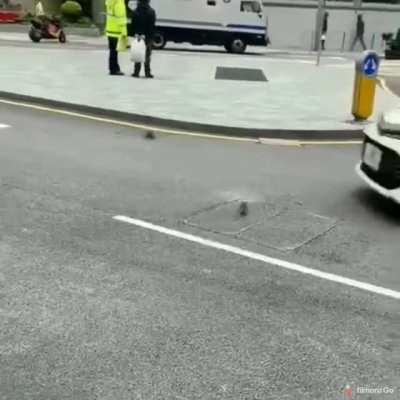 Bird catching