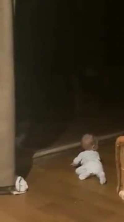 Late night visitor