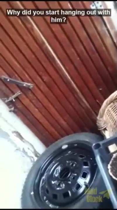 dude wants to smoke ?