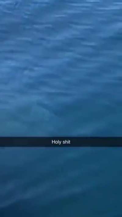 A Real JAWS