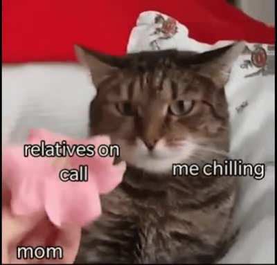 I hate talking to random relatives I never met.