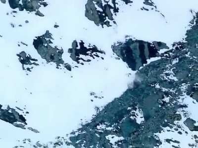 ? Absolutely savage. Snow leopard jumps off cliff into free fall to catch prey. ?