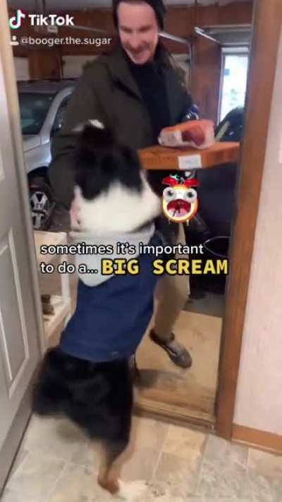 My dog screams at a lot of things.. including pizza ??