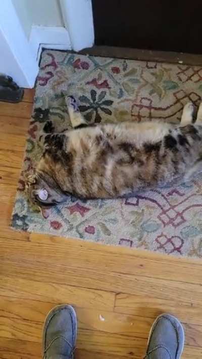 rolly polly baby
