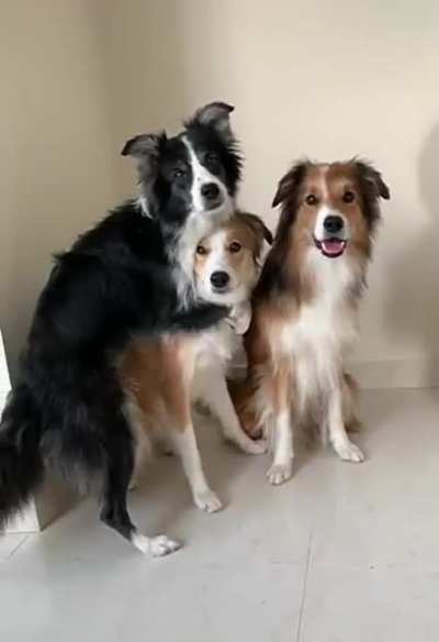 Digs gathering up for a photo