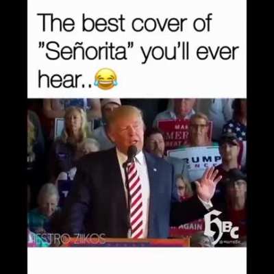Best Cover "Senorita" you'll ever hear..?