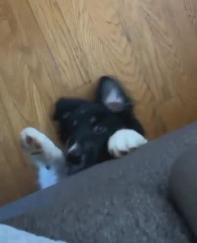 Something lurking underneath