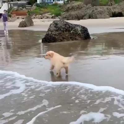 Nope nope nope