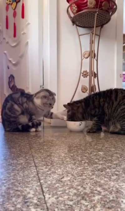 Sharing is caring