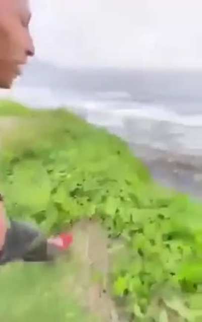Those plants have very solid roots