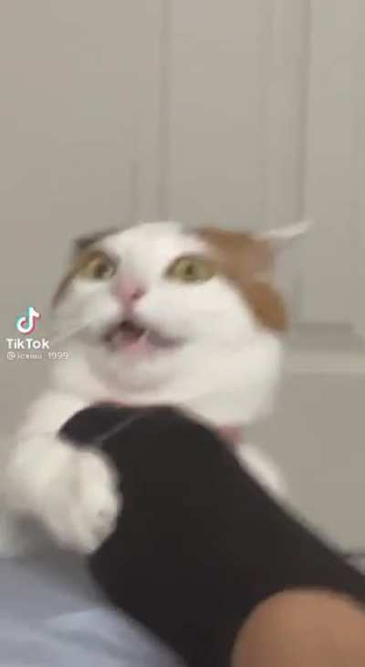 ???