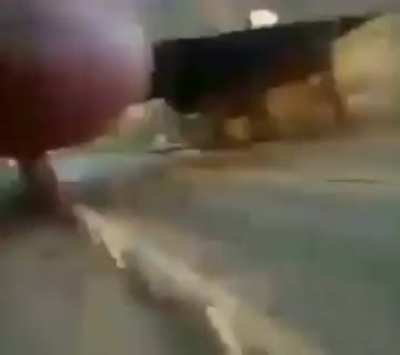 Man gets excited