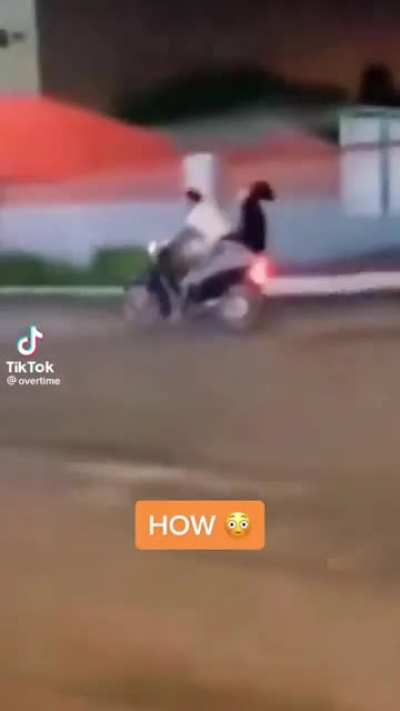 nice catch