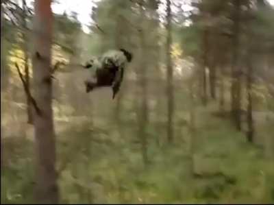 Apparently the best way to have fun was by jumping off a tree