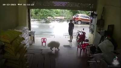 Hope they learned their lessson