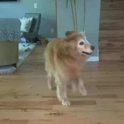 Old boy with his smooth moves. ?