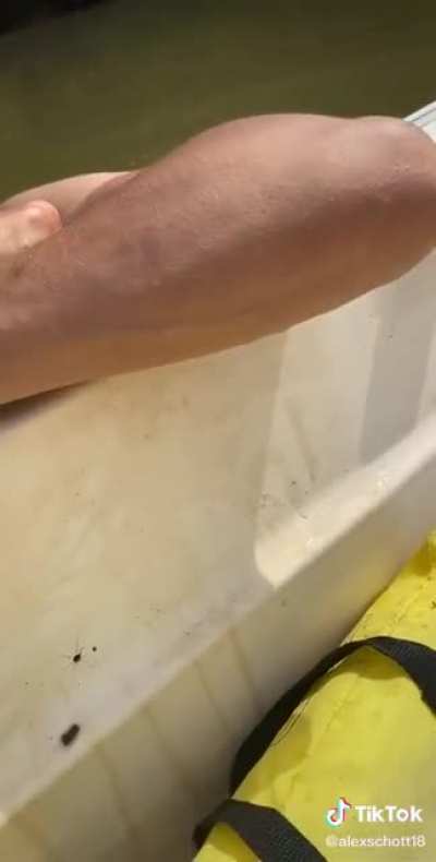 the fish ?: wHy iS iT sPiCyYy