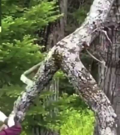 Friend : Bro this weed is not Strong at all. that same friend *A FEW MOMENTS LATER* ?