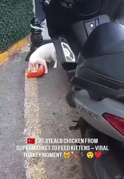 A thief