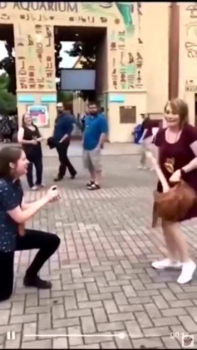 Couple proposes to each other at the same time?