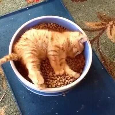 breakfast is bed