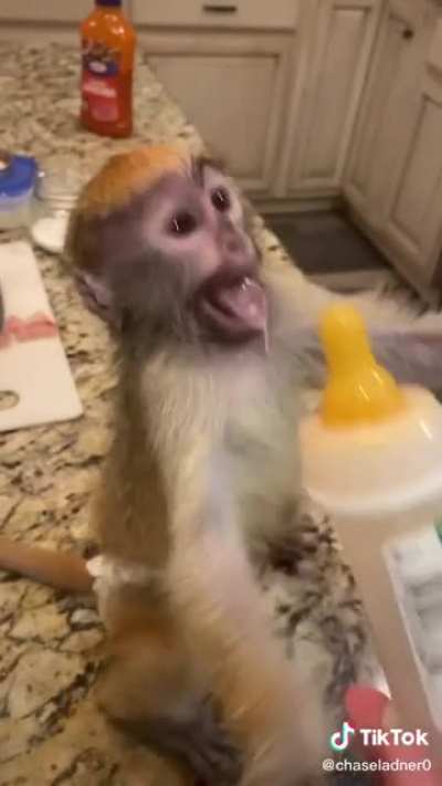 Monkey loses it