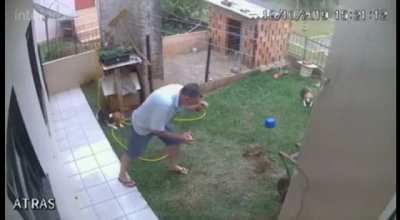 WCGW Trying to destroy the burrow of a pest