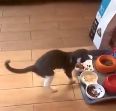 Woahhhh food