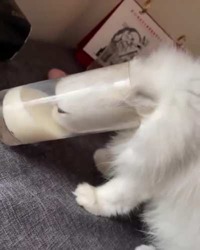 Right way to drink milk