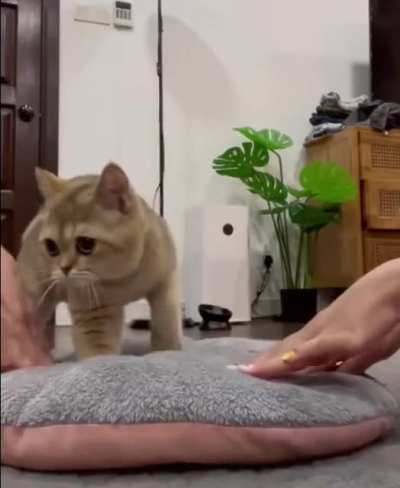 What you doin’ there? ? (OC)