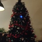 Engineer Jordy Moos programmed his Christmas tree lights to play Snake.