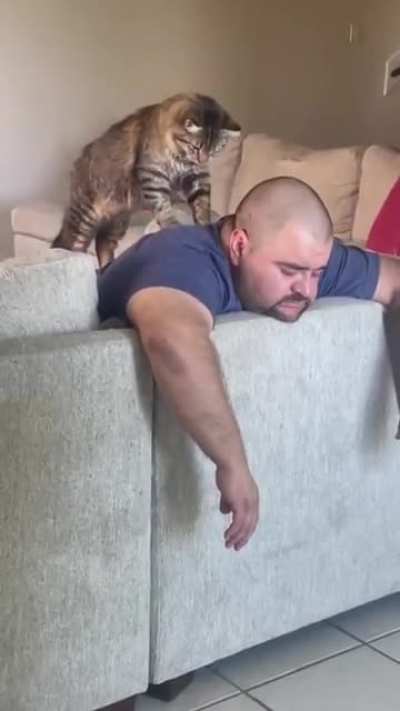 Massager Kitty