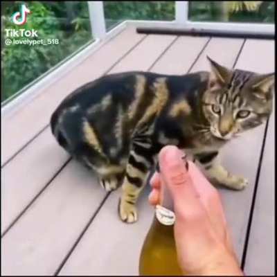 Pop! ?