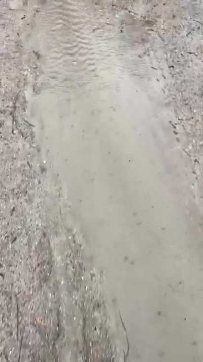 WCGW Camping on low ground