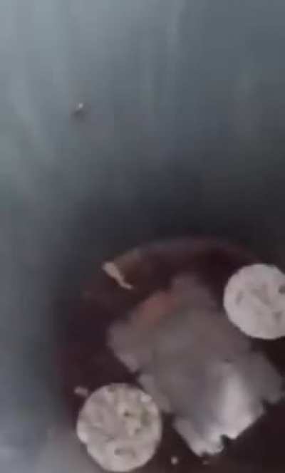 It says on the lid: Don't Climb the Trash Bin?