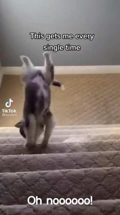 Oh damn it. Oh no. Oh. ? i’m okay mum.