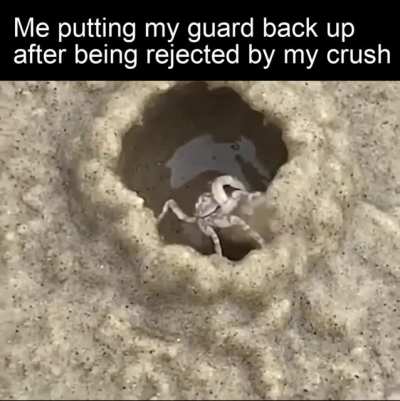 Got to hide the pain