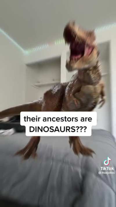 Ancestors.