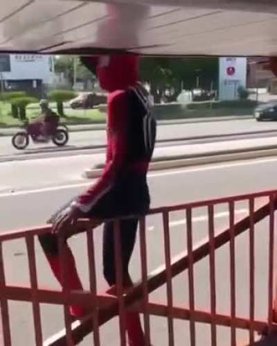 The way this guy does "The Spider-Man"