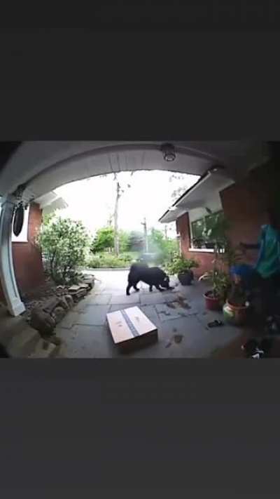 Maybe maybe maybe