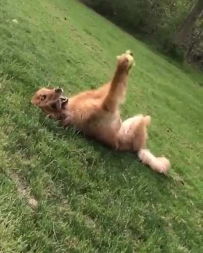 Dis is my ball and I love it?❤️