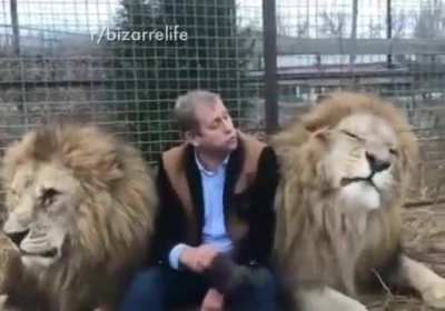 Even the lions don’t mess with Russians